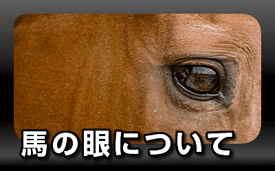 馬の眼について
